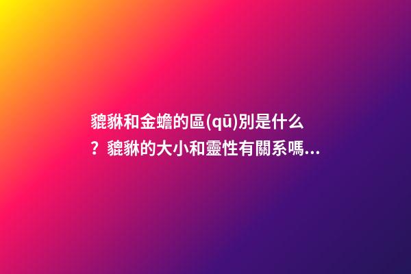 貔貅和金蟾的區(qū)別是什么？貔貅的大小和靈性有關系嗎？