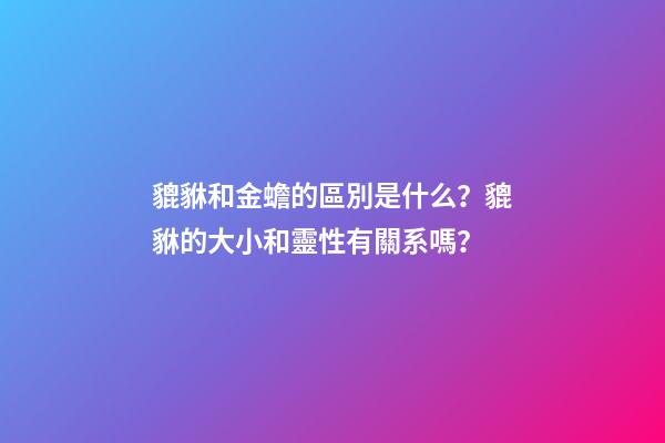 貔貅和金蟾的區別是什么？貔貅的大小和靈性有關系嗎？