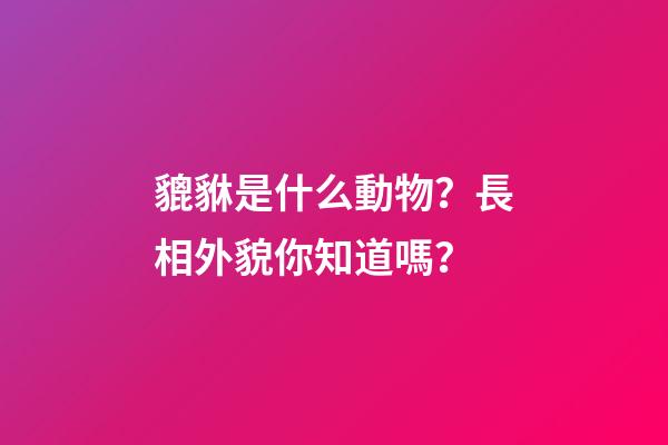 貔貅是什么動物？長相外貌你知道嗎？