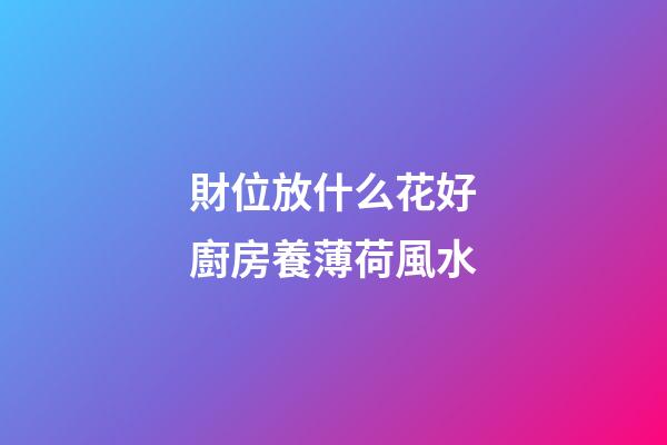 財位放什么花好廚房養薄荷風水