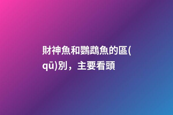 財神魚和鸚鵡魚的區(qū)別，主要看頭