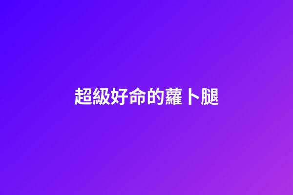 超級好命的蘿卜腿