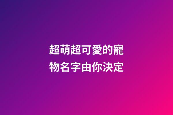 超萌超可愛的寵物名字由你決定
