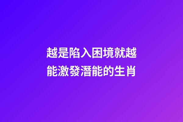 越是陷入困境就越能激發潛能的生肖