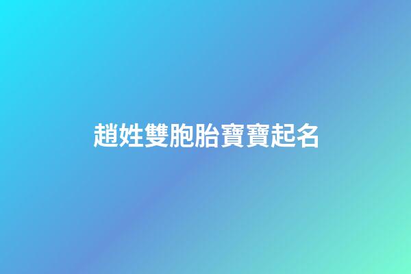 趙姓雙胞胎寶寶起名(趙姓雙胞胎起名字大全)-第1張-寶寶起名-玄機派