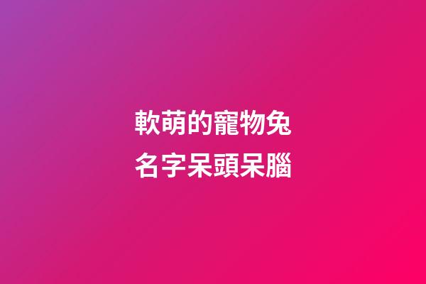 軟萌的寵物兔名字呆頭呆腦
