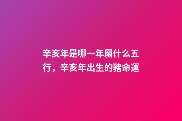 辛亥年是哪一年屬什么五行，辛亥年出生的豬命運
