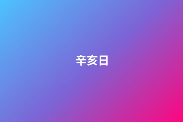 辛亥日