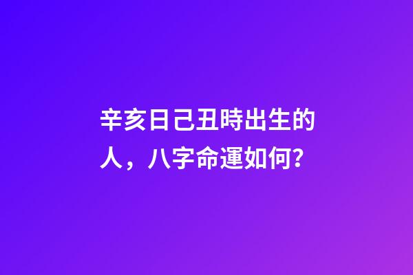 辛亥日己丑時出生的人，八字命運如何？