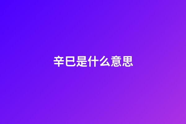 辛巳是什么意思