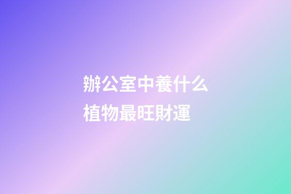 辦公室中養什么植物最旺財運