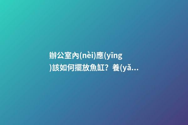 辦公室內(nèi)應(yīng)該如何擺放魚缸？養(yǎng)殖風(fēng)水魚？