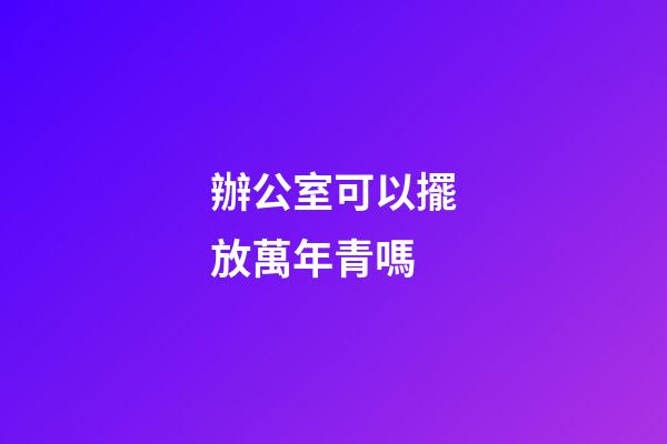 辦公室可以擺放萬年青嗎