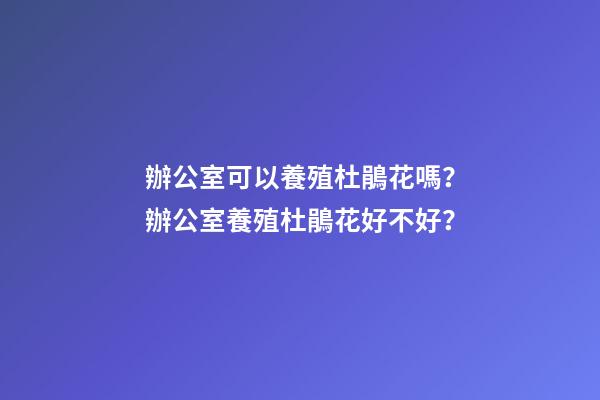 辦公室可以養殖杜鵑花嗎？辦公室養殖杜鵑花好不好？