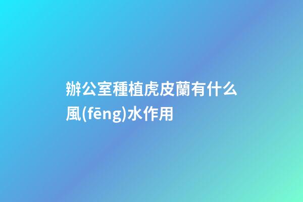 辦公室種植虎皮蘭有什么風(fēng)水作用