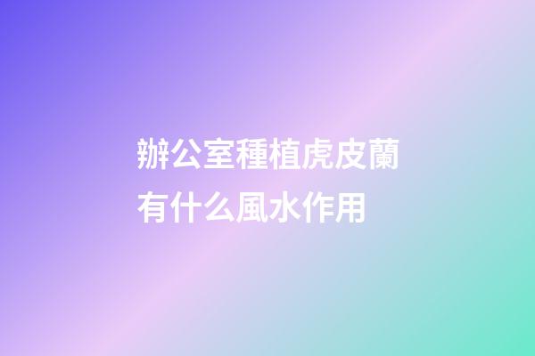 辦公室種植虎皮蘭有什么風水作用
