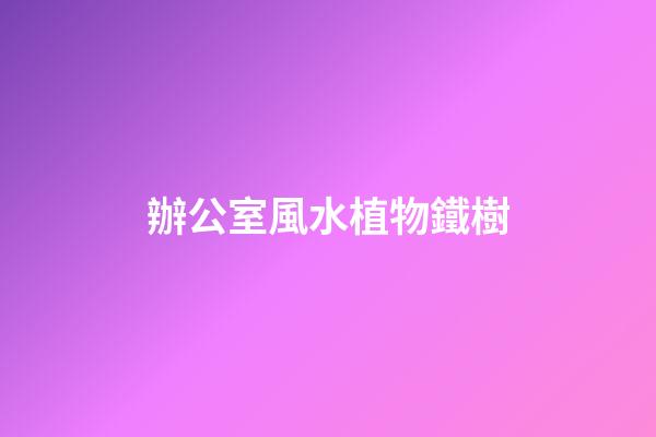 辦公室風水植物鐵樹