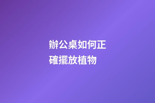 辦公桌如何正確擺放植物
