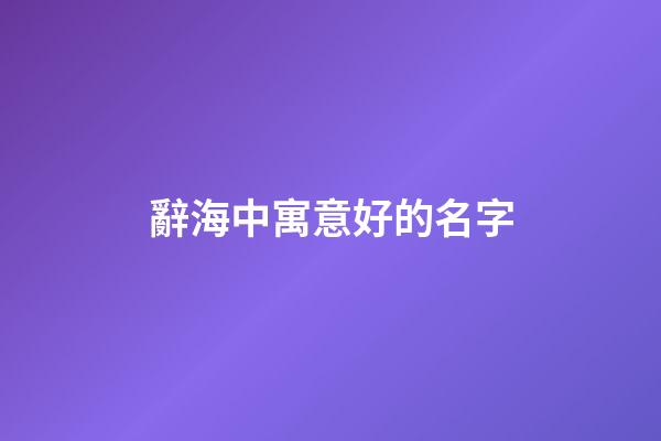 辭海中寓意好的名字