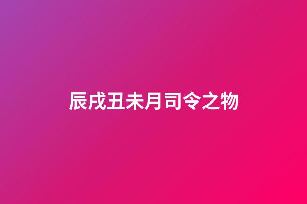 辰戌丑未月司令之物