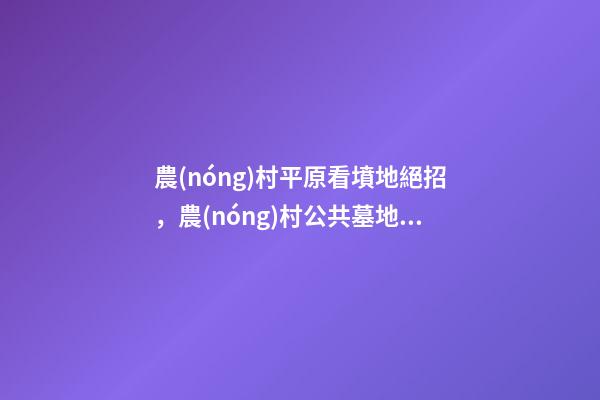 農(nóng)村平原看墳地絕招，農(nóng)村公共墓地好-第1張-觀點(diǎn)-玄機(jī)派