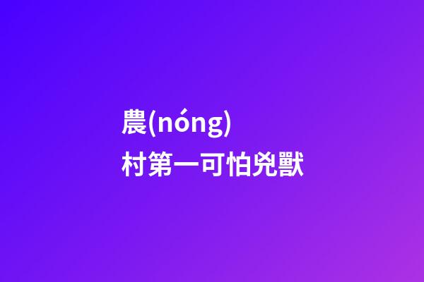 農(nóng)村第一可怕兇獸