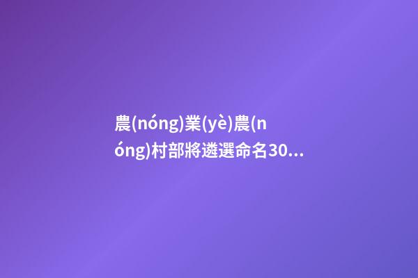 農(nóng)業(yè)農(nóng)村部將遴選命名300個現(xiàn)代農(nóng)業(yè)全產(chǎn)業(yè)鏈標準化基地