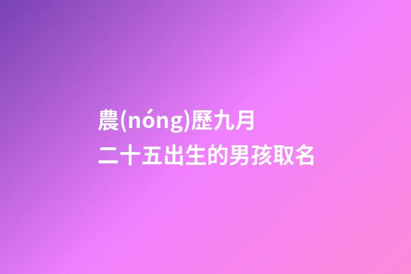 農(nóng)歷九月二十五出生的男孩取名(農(nóng)歷九月二十五出生的寶寶)-第1張-男孩起名-玄機(jī)派