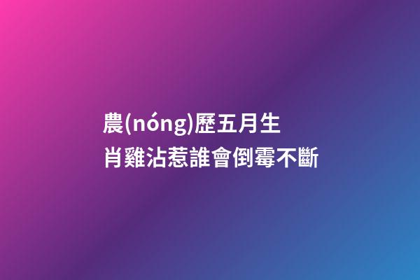 農(nóng)歷五月生肖雞沾惹誰會倒霉不斷