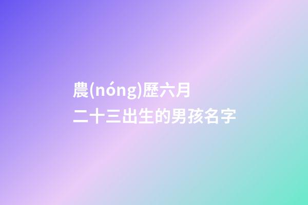 農(nóng)歷六月二十三出生的男孩名字(農(nóng)歷六月二十三出生的女孩)