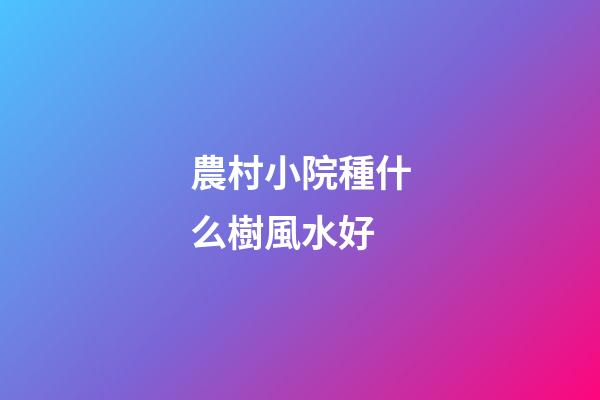 農村小院種什么樹風水好