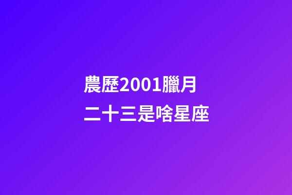 農歷2001臘月二十三是啥星座-第1張-星座運勢-玄機派