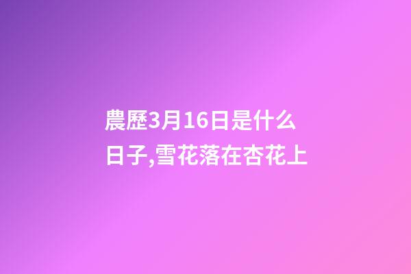 農歷3月16日是什么日子,雪花落在杏花上-第1張-觀點-玄機派