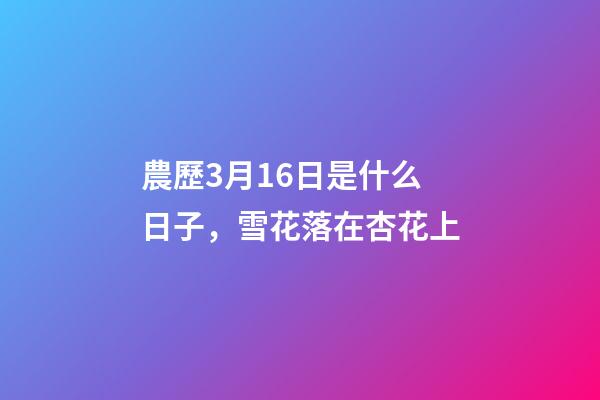 農歷3月16日是什么日子，雪花落在杏花上-第1張-觀點-玄機派