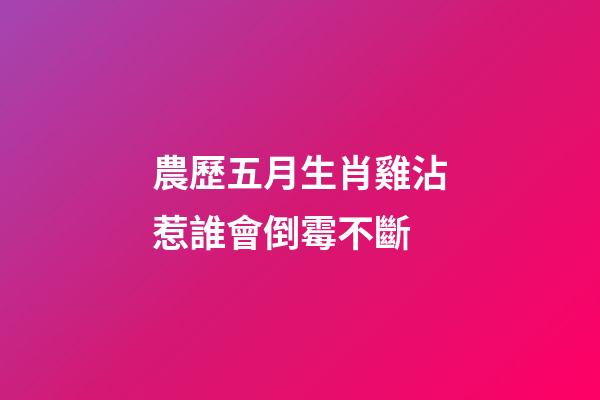 農歷五月生肖雞沾惹誰會倒霉不斷