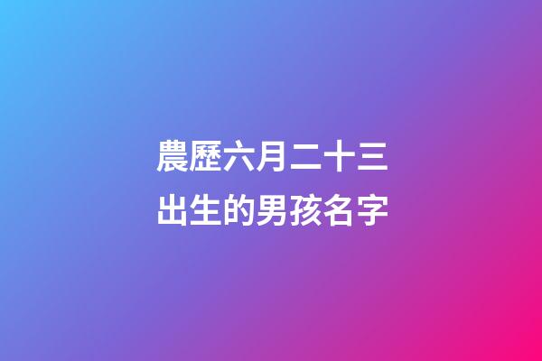 農歷六月二十三出生的男孩名字(農歷六月二十三出生的女孩)
