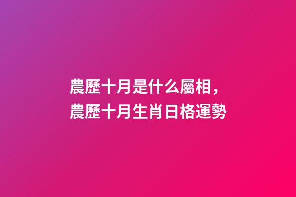 農歷十月是什么屬相，農歷十月生肖日格運勢-第1張-觀點-玄機派