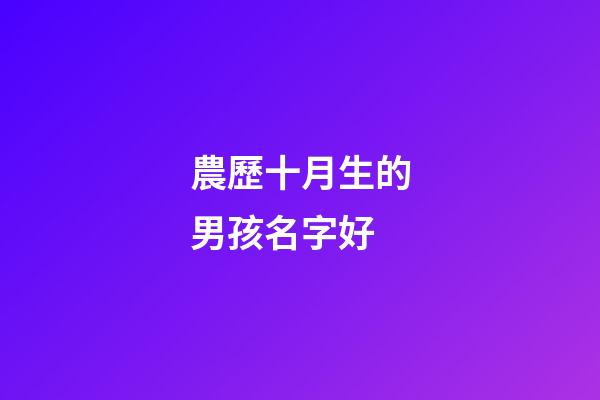 農歷十月生的男孩名字好(農歷10月生的寶寶名字)-第1張-男孩起名-玄機派
