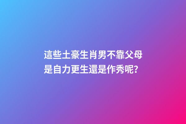 這些土豪生肖男不靠父母是自力更生還是作秀呢？