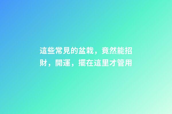 這些常見的盆栽，竟然能招財，開運，擺在這里才管用