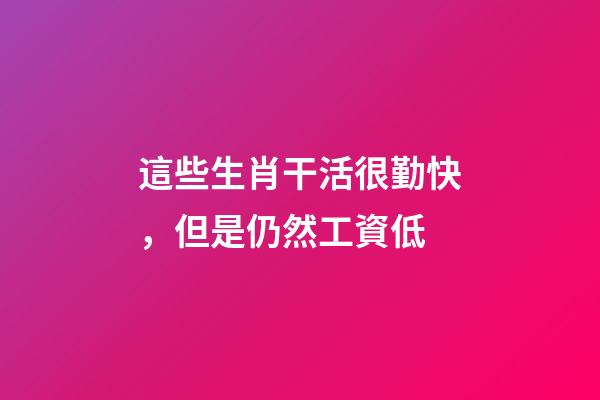 這些生肖干活很勤快，但是仍然工資低