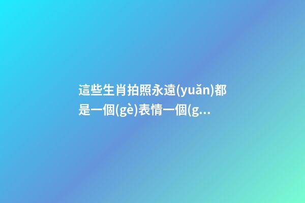 這些生肖拍照永遠(yuǎn)都是一個(gè)表情一個(gè)姿勢(shì)