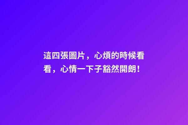 這四張圖片，心煩的時候看看，心情一下子豁然開朗！
