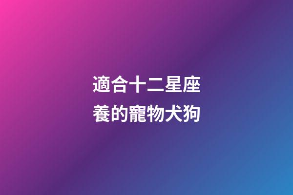 適合十二星座養的寵物犬狗-第1張-星座運勢-玄機派