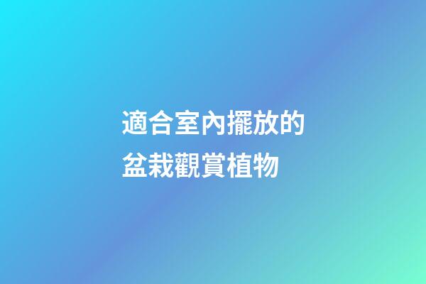 適合室內擺放的盆栽觀賞植物