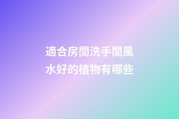 適合房間洗手間風水好的植物有哪些