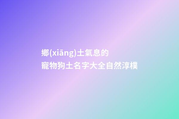 鄉(xiāng)土氣息的寵物狗土名字大全自然淳樸