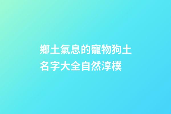 鄉土氣息的寵物狗土名字大全自然淳樸