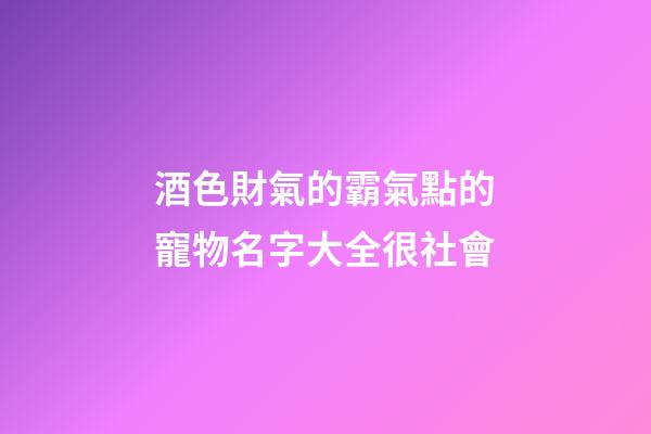 酒色財氣的霸氣點的寵物名字大全很社會
