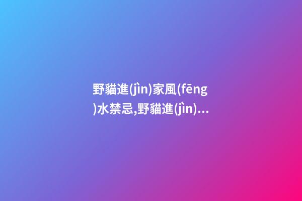 野貓進(jìn)家風(fēng)水禁忌,野貓進(jìn)門產(chǎn)子預(yù)示什么
